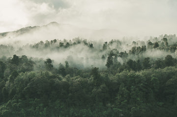 About sustainability in watchmaking